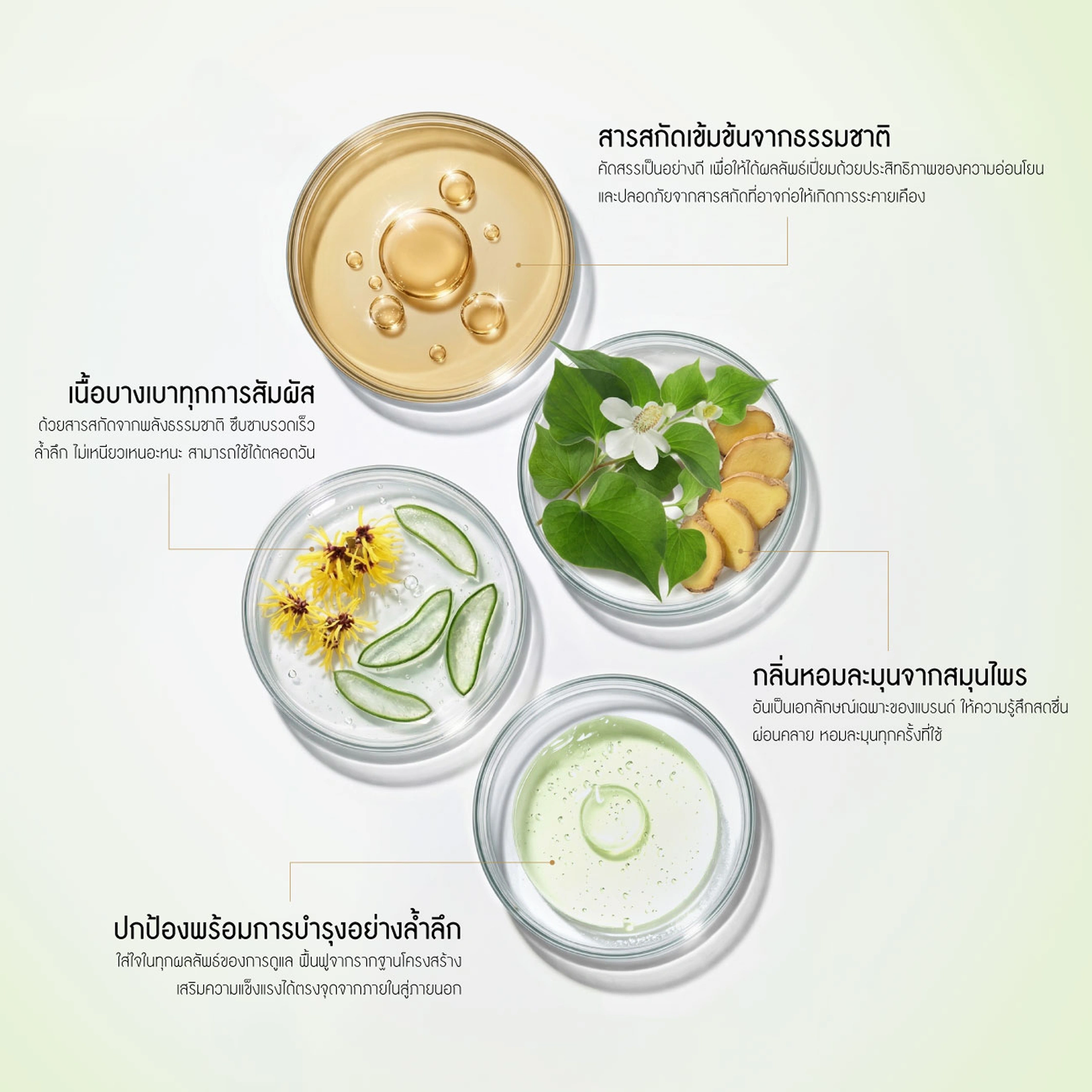 extract desktop
